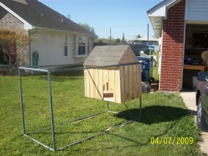 Chicken coop underway