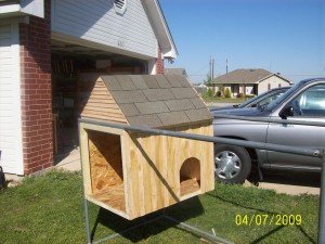 The door will be built soon with the nest boxes built into it.